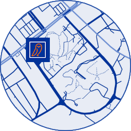 map-image